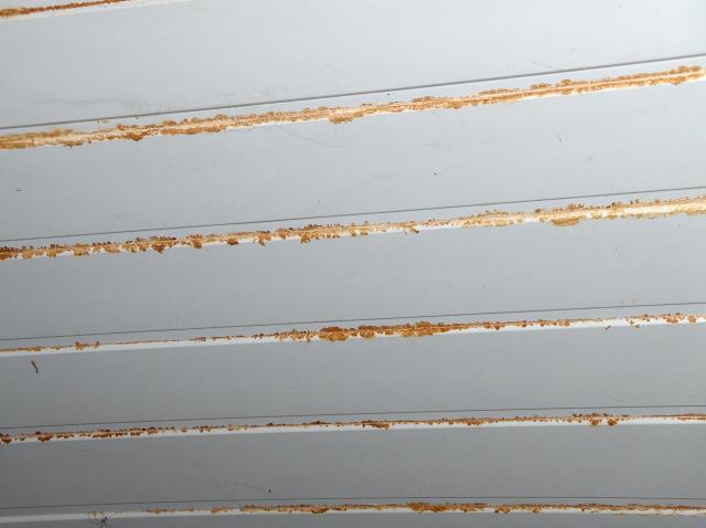 Close-up van het plafond.
